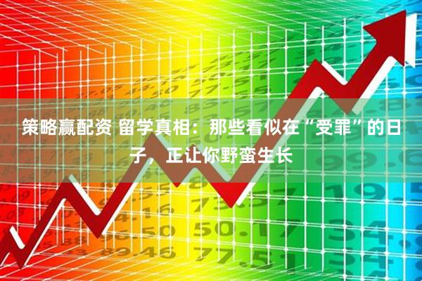 策略赢配资 留学真相：那些看似在“受罪”的日子，正让你野蛮生长