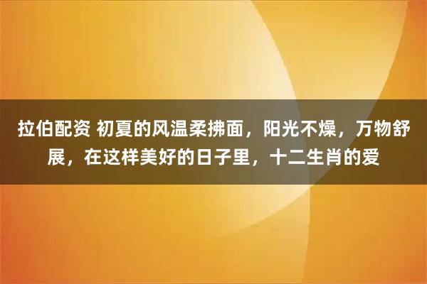 拉伯配资 初夏的风温柔拂面，阳光不燥，万物舒展，在这样美好的日子里，十二生肖的爱